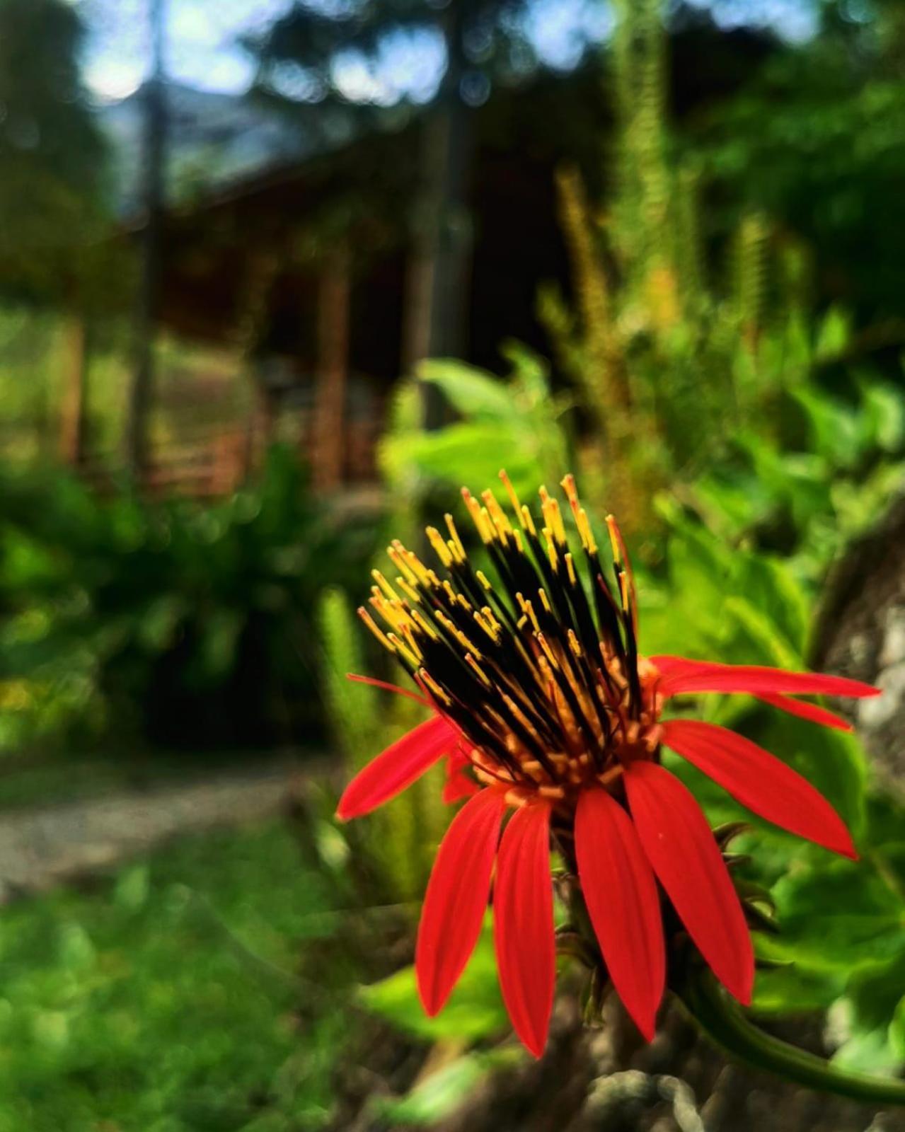 Goctamarca Lodge Cocachimba Εξωτερικό φωτογραφία